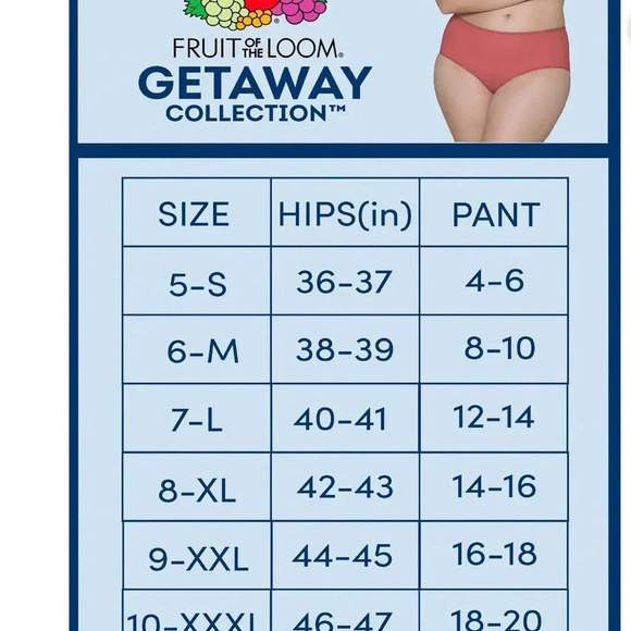 Fruit of the Loom Women's Getaway Collection, Cooling Mesh Brief Underwear - Picture 4 of 6